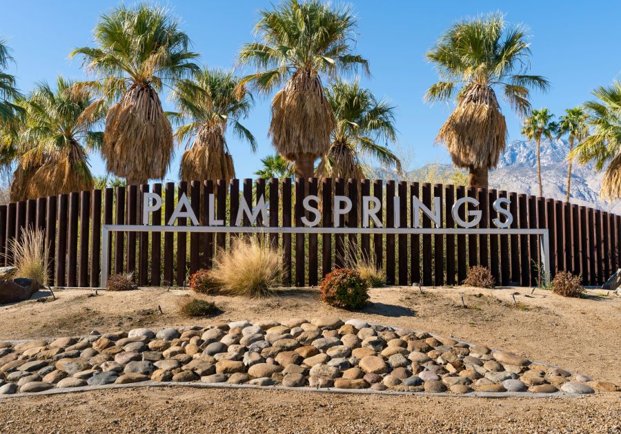 Do You Need Wedding Transportation For a Palm Springs Destination Wedding?